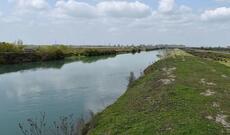 İmişlidə 82 yaşlı qadın su kanalında boğularaq ölüb