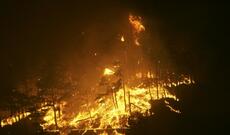 Cənubi Koreyada meşə yanğınları ilə bağlı fəlakətli vəziyyət elan edilib