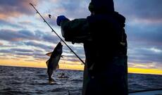 Balıq tutmağa getdi, cərəyan vurub öldürdü