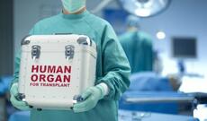 Ölümdən sonra orqanlarını bağışlamaq istəyənlərin sayı açıqlanıb