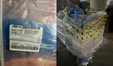 Azərbaycana gətirilən mal piyində  donuz DNT-si tapılıb