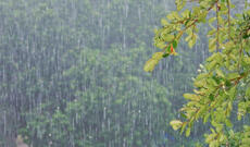 Aprelin 30-dək hava şəraitinin fasilələrlə yağıntılı olacağı, şimşək çaxacağı gözlənilir