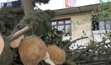 Bakıda güclü küləyin fəsadları hələ də sakinləri narahat edir - Video