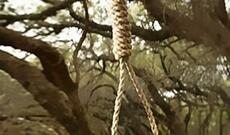 Azərbaycanda tələbə özünü meşədə asıb