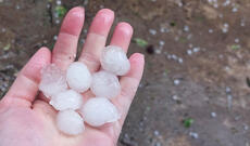 Goranboy və Göygölə dolu düşüb