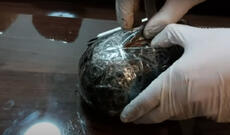 DİN BMCMİ-dən silsilə əməliyyatlar: 75 kq narkotik dövriyyədən çıxarılıb - VİDEO