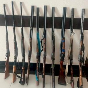 Cəlilabadda qanunsuz saxlanılan silahlar polisə təhvil verildi