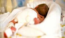 Astarada 10 aylıq körpə türkəçarənin qurbanı oldu