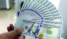 Dollar yığanlar indi onu satmağa başladı - SƏBƏBLƏR