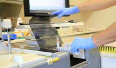 Türkiyə bu xəstəliyin müalicəsi üçün dərman hazırlayacaq