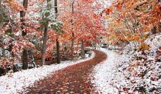 Sabah yağış və sulu qar yağacaq - XƏBƏRDARLIQ