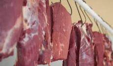 Azərbaycan bazarına Monqolustan və Braziliyadan gətirilən ətlər yoxlanır?