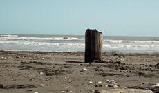 Xəzər dənizi iki yerə bölünəcək - Alim