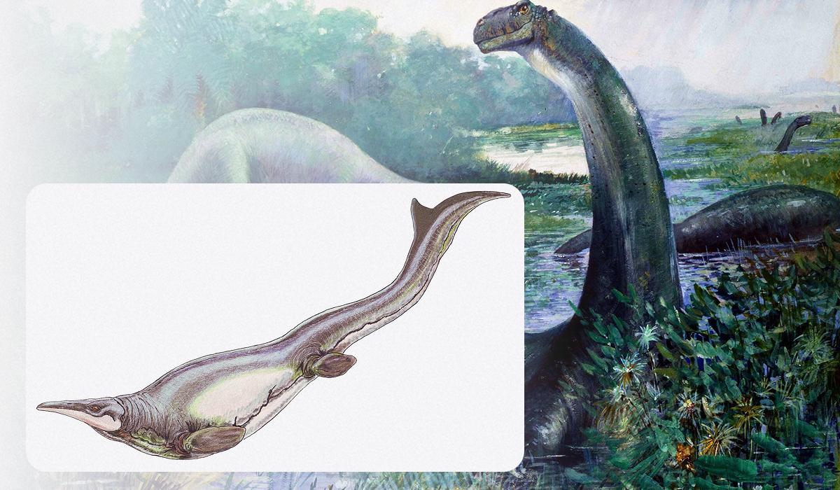 Milyon illər əvvəl dünyada dinoзаврları yeyən dəniz sürünəni yaşayıb