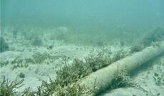 Estoniyada beş sualtı qayıq kabeli zədələnib