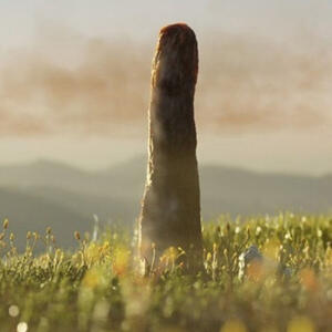 Naməlum təbiətli nəhəng orqanizm alimləri çaş-baş salıb