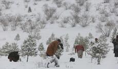 Fırtınaya görə ABŞ-də təxminən 740 min ev elektriksiz qalıb