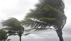 Portuqaliyada fırtına səbəbindən yüz minlərlə ev elektriksiz qalıb