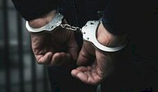 Dövlət əleyhinə çağırış edən şəxslə Əli İnsanovu nə birləşdirir? - TƏFƏRRÜAT