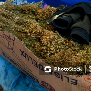 Üzərliklə bağlı daha bir dövlət qurumundan ÇAĞIRIŞ