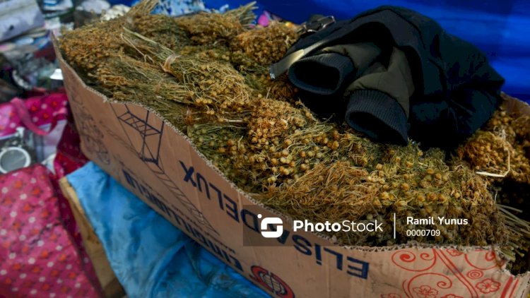 Üzərliklə bağlı daha bir dövlət qurumundan ÇAĞIRIŞ