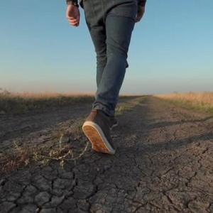 Göyçay sakini itkin düşdü - VİDEO