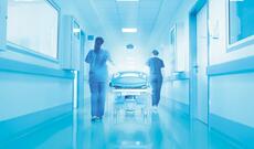 Biləsuvarda sahibsiz itin hücumuna məruz qalan azyaşlının son vəziyyəti məlum olub