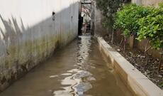 Sabunçuda evləri, həyətləri kanalizasiya suyu basdı - VİDEO