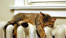 Azərbaycanda istilik mövsümü başa çatdı