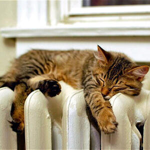 Azərbaycanda istilik mövsümü başa çatdı