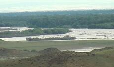 Kür çayı daşdı: Samuxda əkin sahələrini su basdı