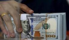 Xanım sahibkar ölkədən 200 min dollar çıxartdı