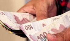 Üzüm yarpağını zibilliyə atdı, 150 manat cərimələndi