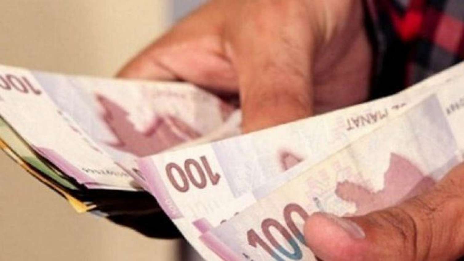 Üzüm yarpağını zibilliyə atdı, 150 manat cərimələndi