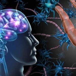 Yaxın gələcəkdə parkinson, epilepsiya və görmə qabiliyyətinin bərpası mümkün olacaq