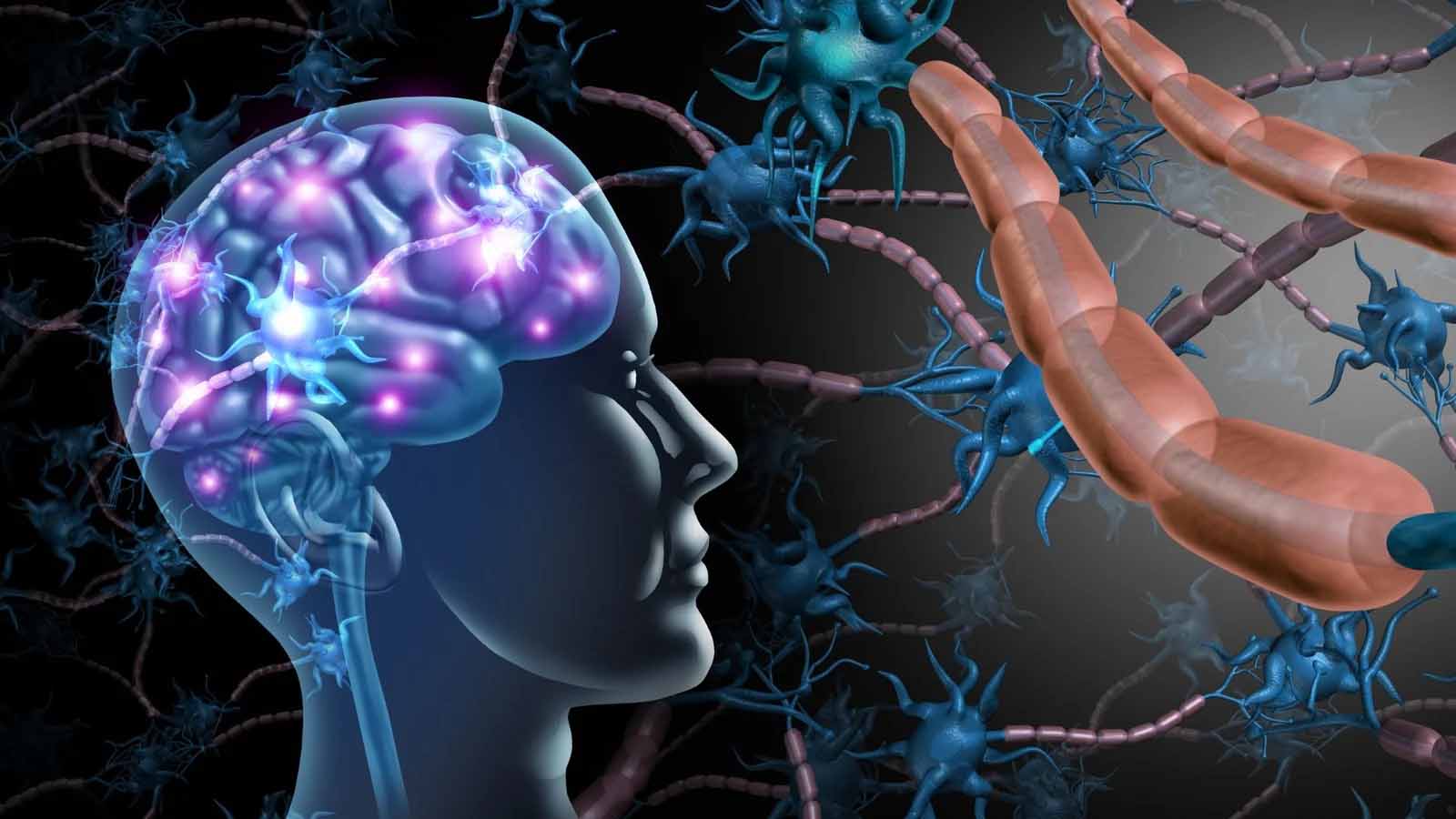 Yaxın gələcəkdə parkinson, epilepsiya və görmə qabiliyyətinin bərpası mümkün olacaq