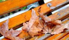 Çində iki uşağa icazə verilir: amma bir şərtlə ki...