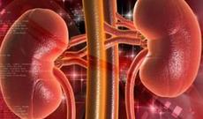 Azərbaycanda ilk: Ən kiçik xəstəyə böyrək köçürülüb