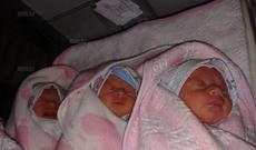 Sabunçuda üçəm dünyaya gəlib