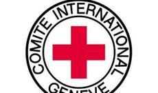 Təranə Səmədovaya Məşhəd ziyarəti hədiyyə edilib - FOTO