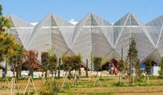 "Baku Cristal Hall"da boks üzrə yarışlara start verildi