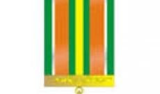 Şəhid əsgərin medalı anasına təqdim edilib