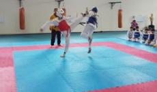 Masallıda taekvondo üzrə açıq turnir