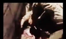 "Dördgünlük müharibə"də çəkilən yeni görüntü (VİDEO +18)