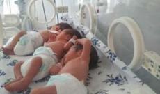 10 ildir övladı olmayan ailənin üçəm qızları dünyaya gəlib - Bərdədə - FOTOLAR