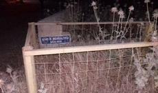 Masazırda şəhidə hörmətsizlik — FOTO