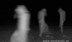 Qəribə məxluqlar peyda olublar - AĞDAŞDA