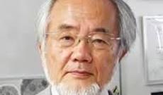 “Fiziologiya və tibb” nominasiyası üzrə Nobel mükafatçısının adı açıqlanıb