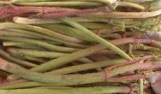 Xərçəngi iki gündə sağaldan dərman tapıldığı iddia edilir