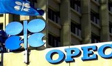OPEC gələn il neftin qiymətinin minimum 50-55 dollar olması üçün səfərbər olunacaq